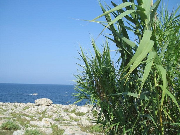 Vacanze in Salento mare e natura