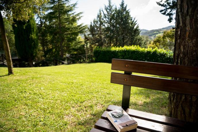 Relax ad Assisi con piscina nel verde 