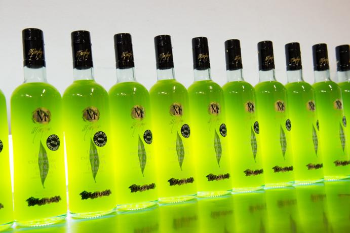 Agriturismo in Umbria con degustazioni Olio DOC