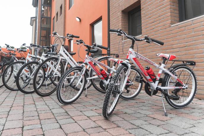 Mountain bike a disposizone: Pista illuminata per allenamenti