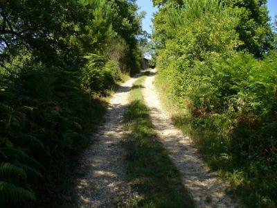 Passeggiate verdi vicino al BB a Orvieto 