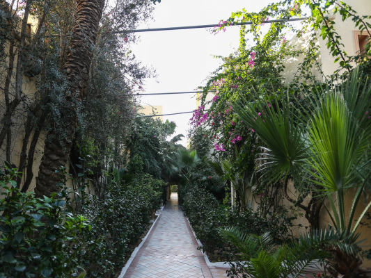 Resort Tunisia 4 stelle immerso nel verde 