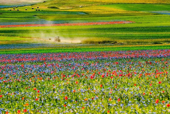 Hotel ideale per Fiorita Castelluccio di Norcia