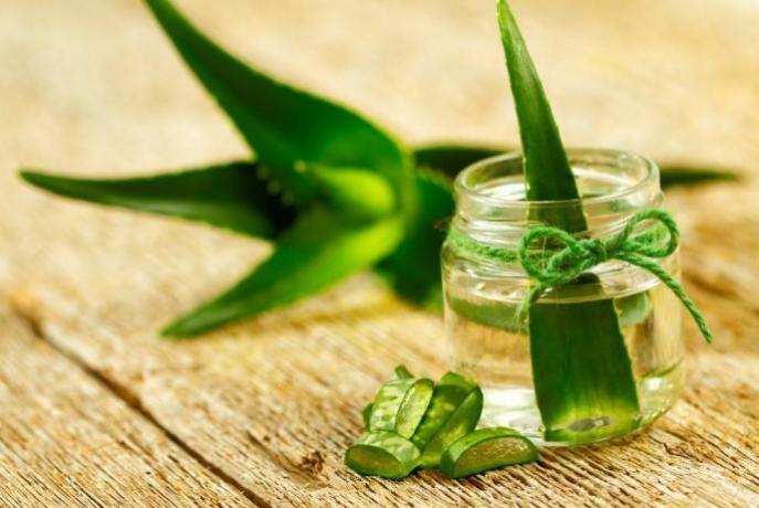 ALOE VERA: COSMETICA DI QUALITA' IMPERYA