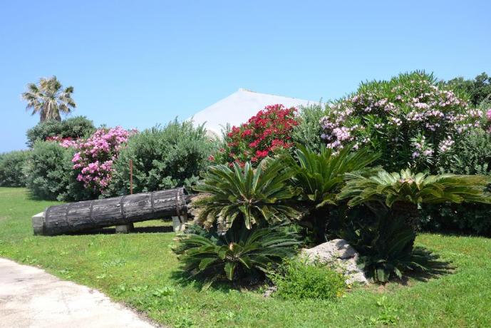 Resort davanti al mare con grande giardino-Trapani