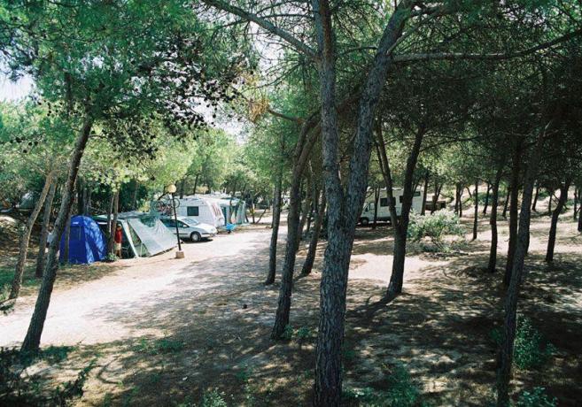 Piazzole camper e tende villaggio-vacanze fronte mare Sorso-Sardegna 