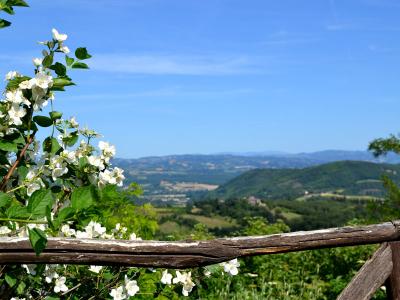 Agriturismo con Appartamenti, il Panorama dalla Piscina 