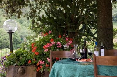 Giardino attrezzato per cene all'aperto 