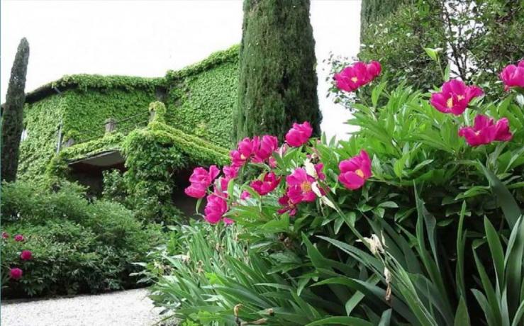 Hotel vicino a Giardino delle Peonie Vitorchiano