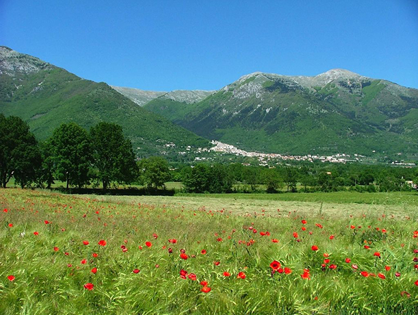 Casale immerso nel verde Val di Comino