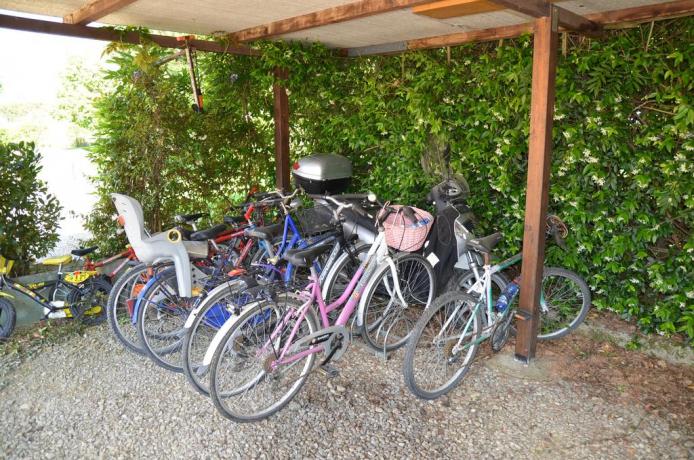 Noleggio mountain bik per girare la campagna toscana