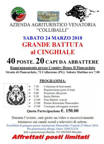Caccia al cinghiale in umbria riserva agricola palermi