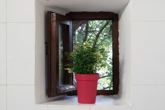 Bagno con finestra Appartamento-Giolli Borgo-sul-Clitunno Umbria 