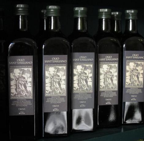 produzione olio extra vergine dop