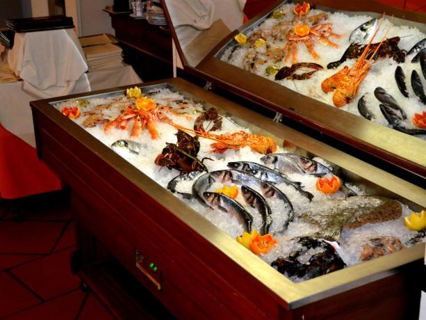 Hotel con Ristorante