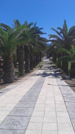 Casa Vacanze direttamente sul Mare a Scalea