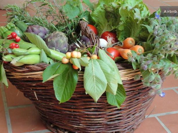 Cesto ortaggi B&B Todi vicino Marsciano