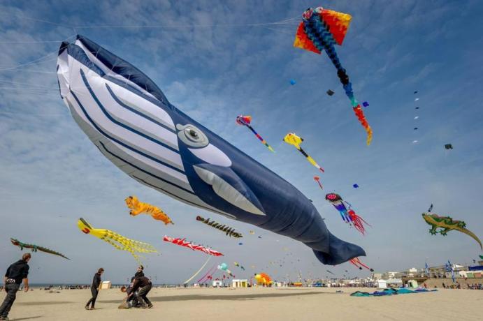 Spiaggia a 100 mt dall'Hotel 3 stelle 