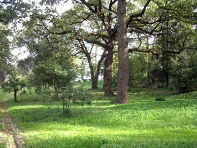 B&B con parco esterno a Caserta