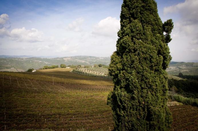 Casale a pochi km da Todi