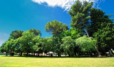 Parco con Giardino 