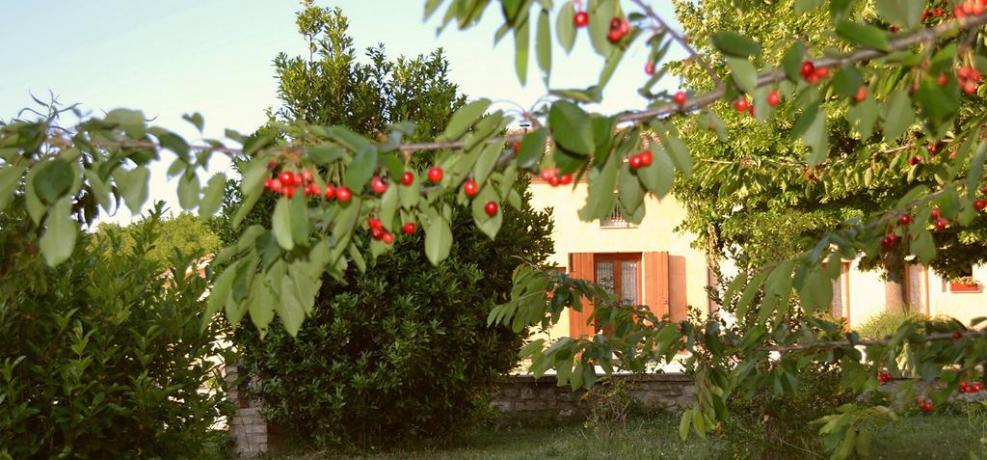 Agriturismo Umbro ideale per famiglie