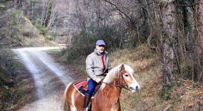 Passeggiate a cavallo