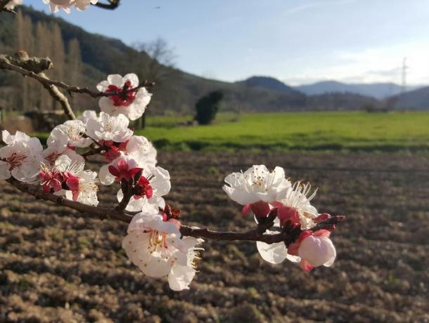 Primavera in Umbria a Ferentillo 