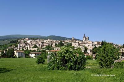 Spello visto dall'agriturismo acquatino 