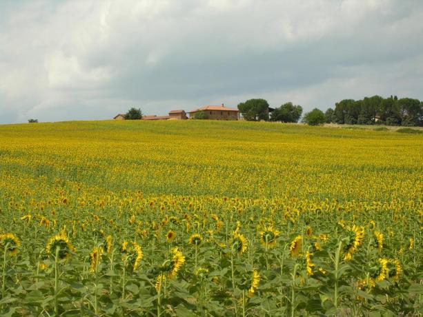 Agriturismo Umbria adatto per escursioni e passeggiate