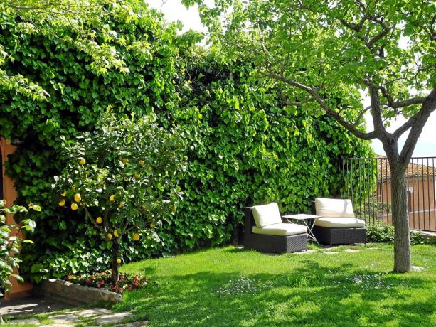 Giardino con area relax B&B Castiglione del Lago 