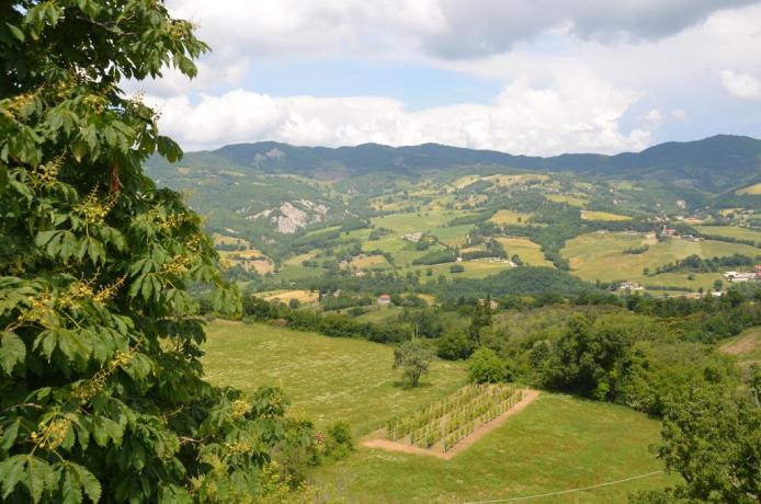 Casolare con vista panoramica sul monte subasio 