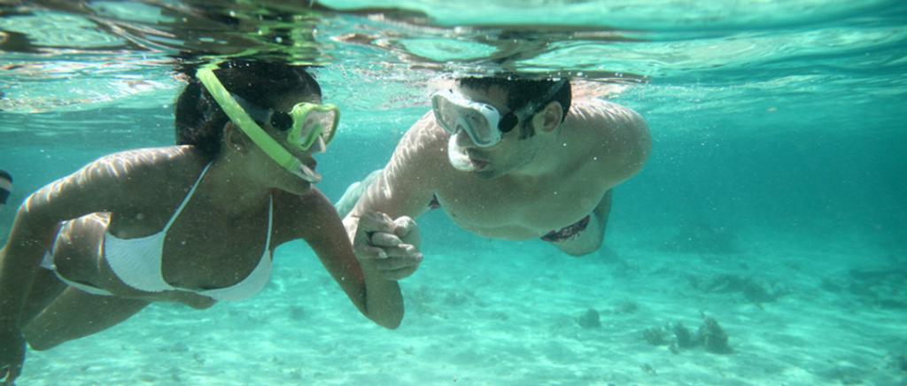 Snorkeling sulla Spiaggia del Villaggio Palinuro