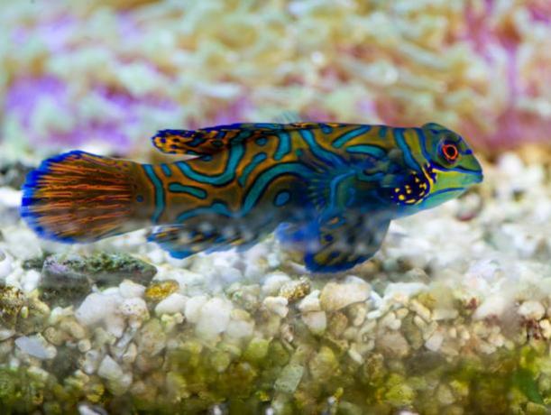ponte 2 giugno hotel a celle ligure con spiaggia convenzionata e ... - Pacchetti Soggiorno Acquario Di Genova ponte 2 giugno hotel a celle ligure con spiaggia convenzionata e ... - Pacchetti Soggiorno Acquario Di Genova