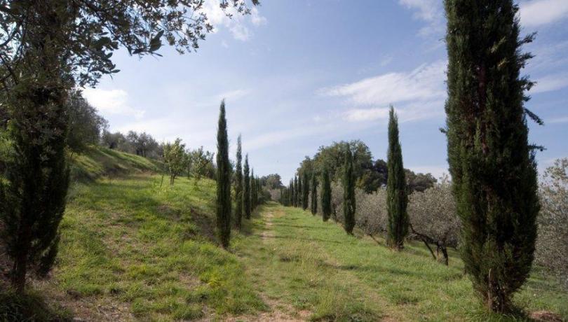Villa in affitto per Vacanza, con parco relax