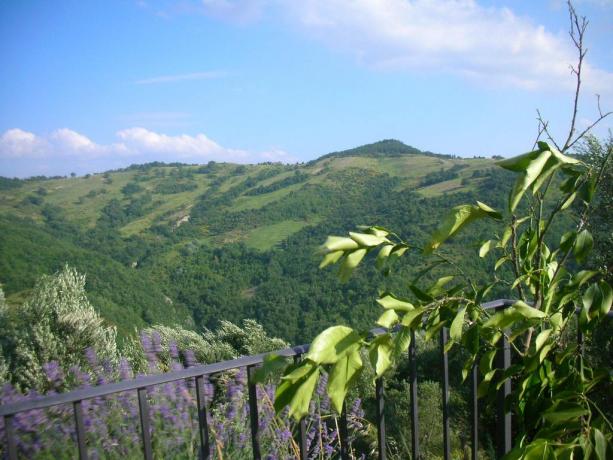 Agriturismo Perugia ideale per famiglie 