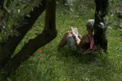 Manifestazione tra arte e natura a Trevi 