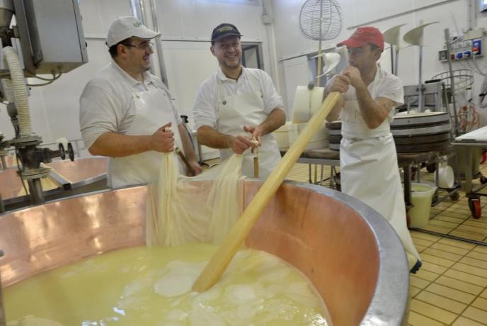 visita caseifici con degustazione formaggio parmigiano reggiano