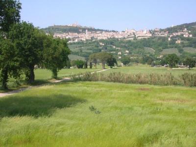 VIsta su Assisi dall'Agriturismo