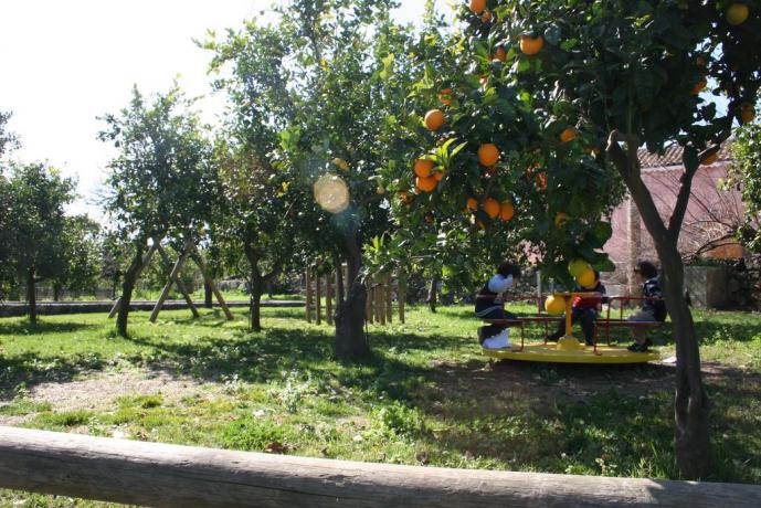 Agriturismo in Sicilia immerso in una limonaia