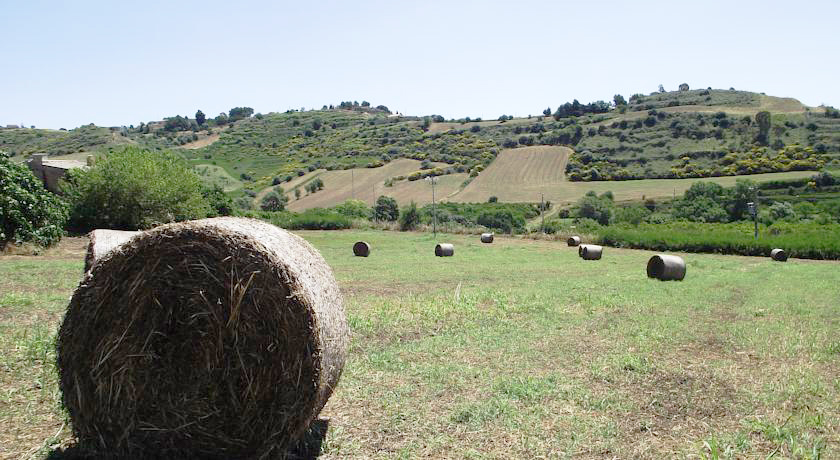 Campagna a Caltagirone