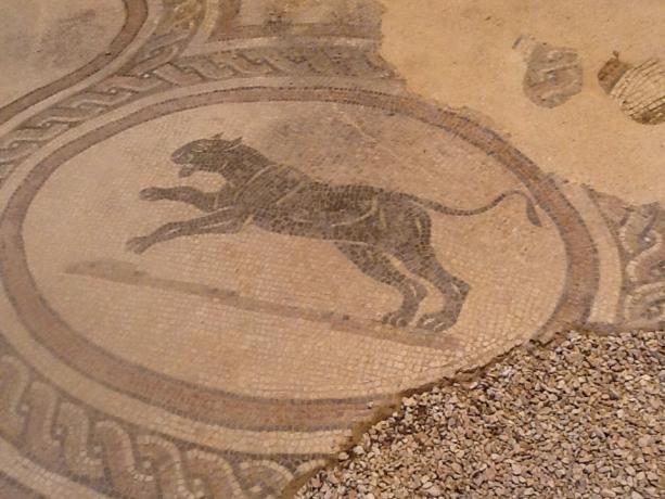 Mosaici Villa Spello 