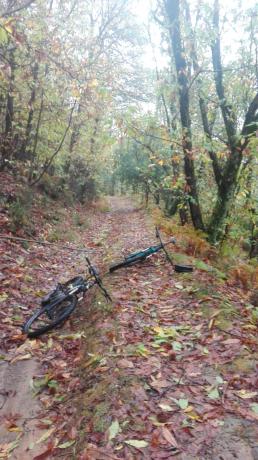 Percorsi mountain bike Agriturismo a Carro Liguria