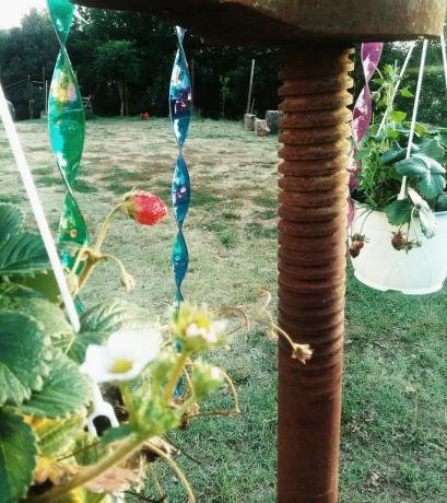 Casa vacanze con giardino vicino Orte