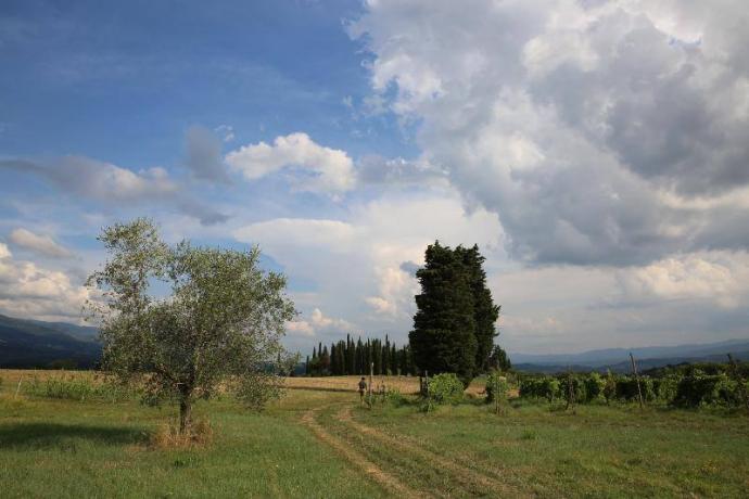 La natura intorno alla nostra casa vacanze
