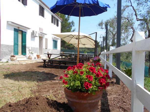 Bed and Breakfast con Parcheggio gratuito, Animali Ammessi