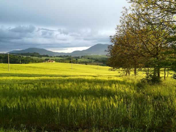 Escurzioni a cavallo e Montanbike agriturismo in Umbria