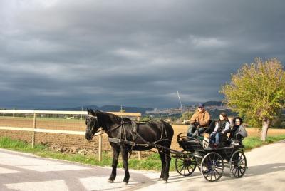 Equitazione, Passeggiate a Cavallo - Il Maneggio di Assisi