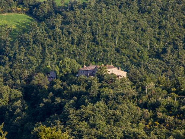 Agriturismo Umbria adatto a famiglia nel verde 