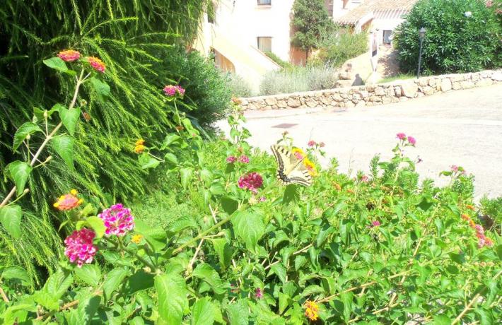 Albergo con giardino vicino Porto Cervo